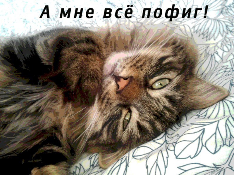 Алина Андрейчикова ˙·٠•●♥ Ƹ̵̡Ӝ̵̨̄Ʒ ♥●•٠·˙ | Южно-Сахалинск