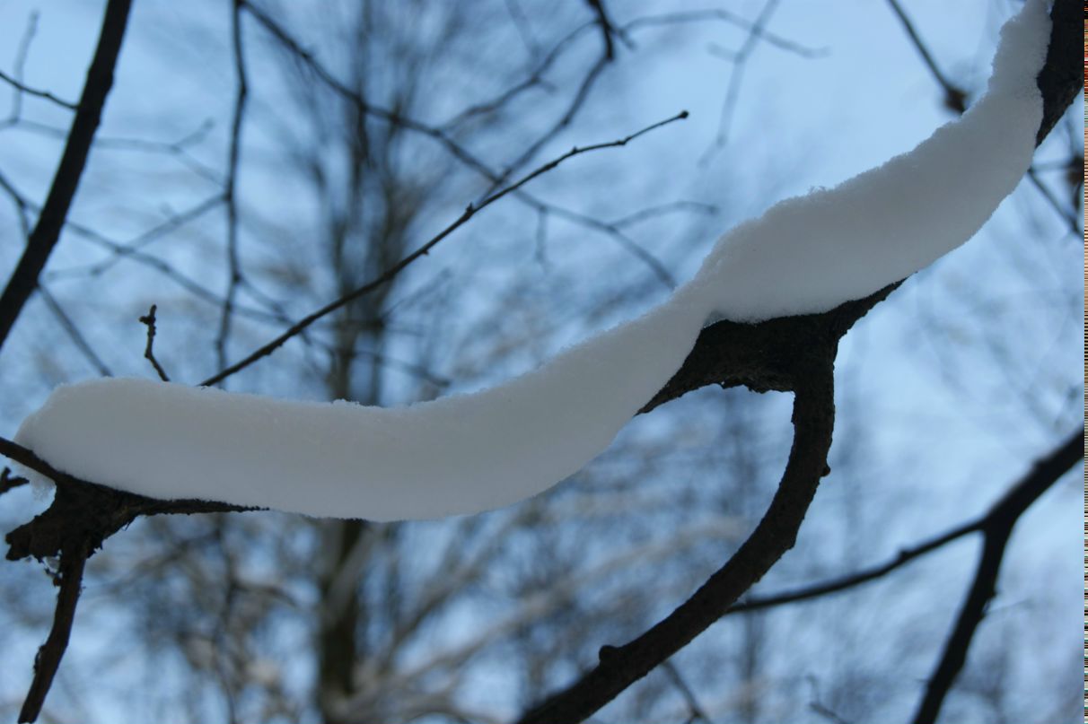 Дмитрий Юдицкий | Москва