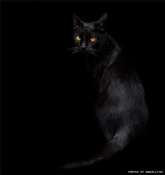 Оля Сальник | Солоницевка