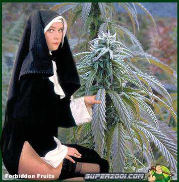 Алексей Мудрецов | Йошкар-Ола