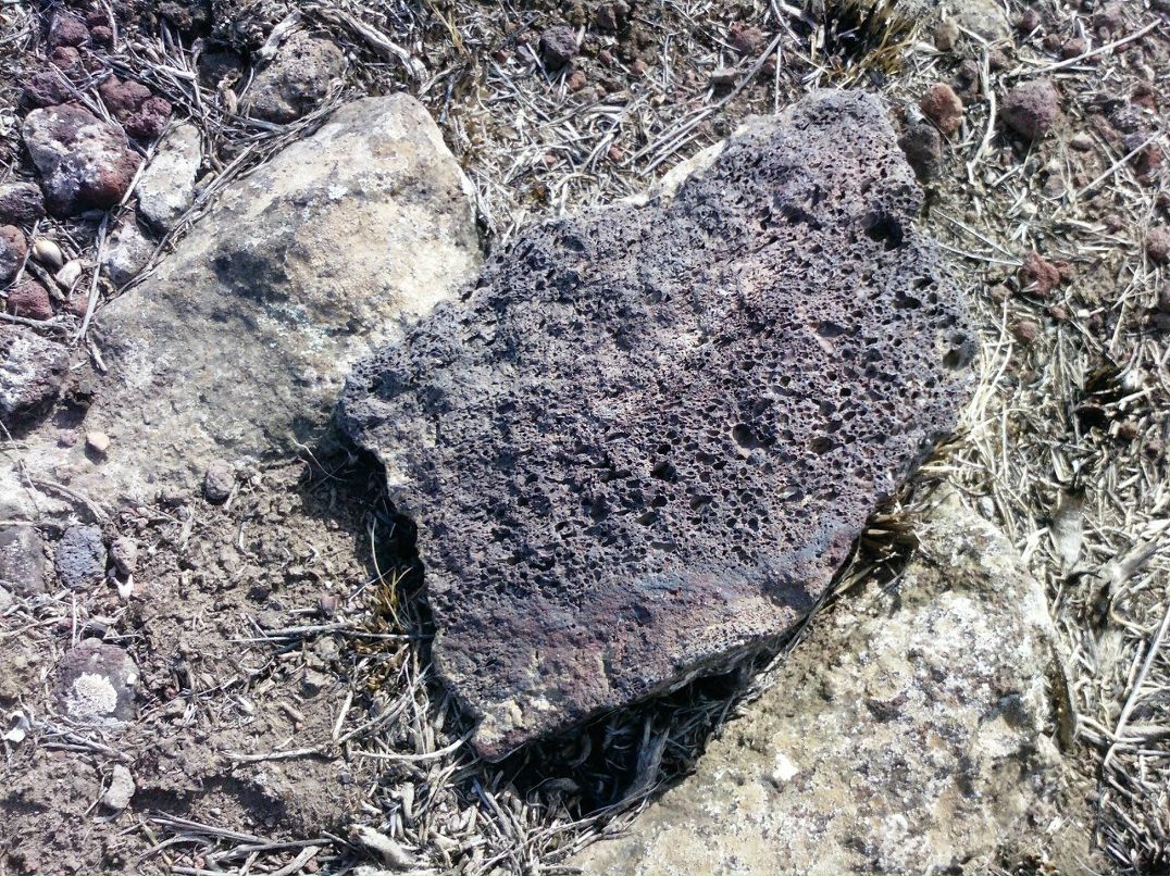 Анюта Маркелова PangoLin | Солнечногорск