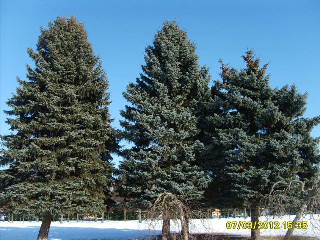 Валентина Сучилова | Санкт-Петербург