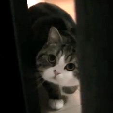 Деник Халецкий DNK | Челябинск