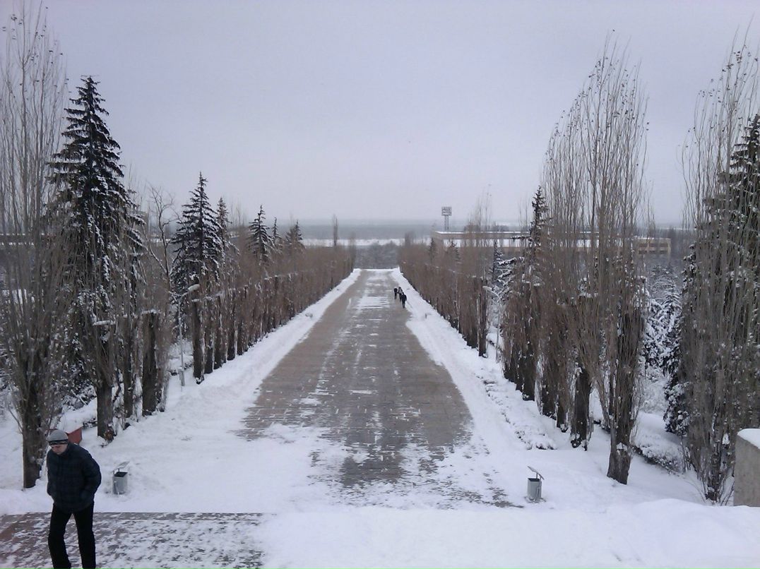 Андрей Ерыкалин Варяг | Волгоград