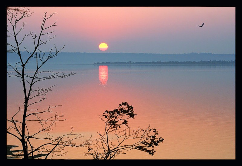 Елена Жёлудева | Санкт-Петербург