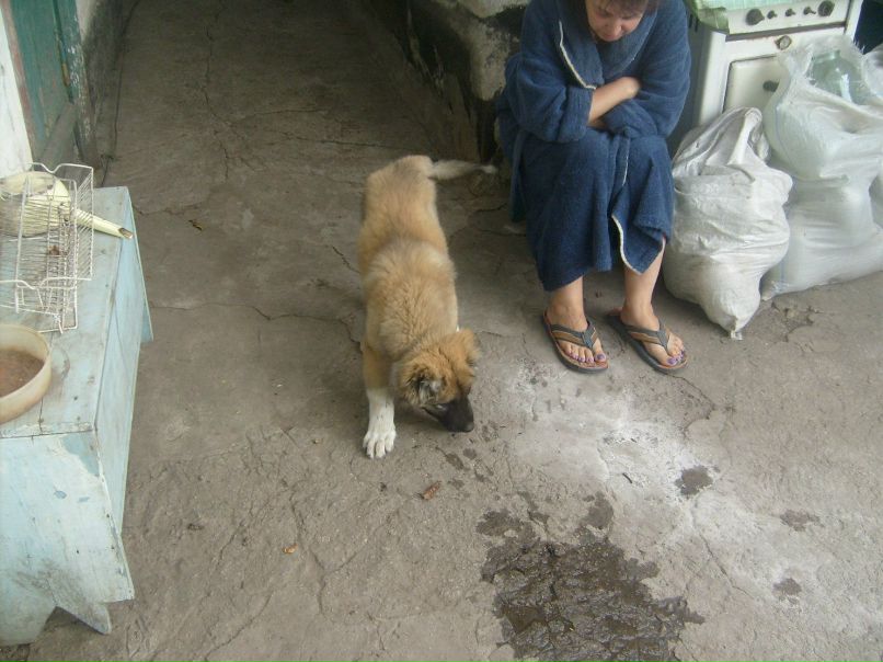 Brain Oconer | Днепр (Днепропетровск)