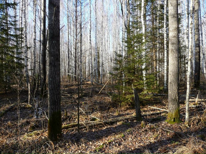 Юлия Горева | Омск