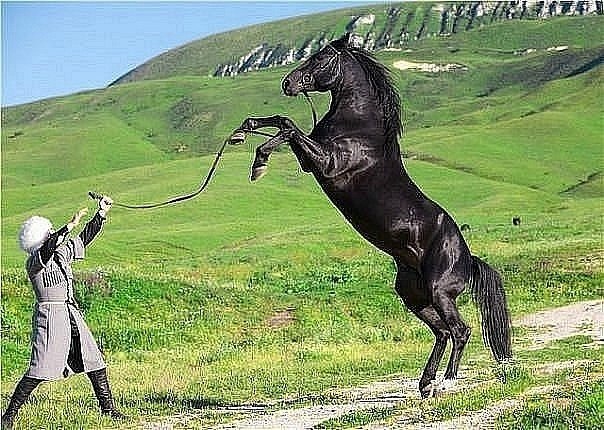 Станислав Гиголаев | 