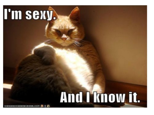 Елена Кустарова | Санкт-Петербург