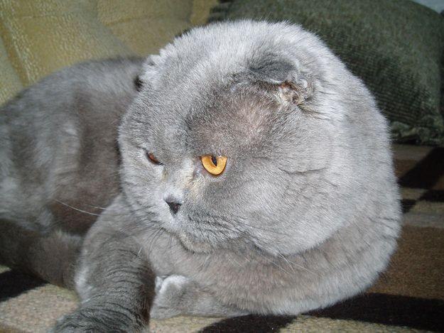 Валера Дерягин | 