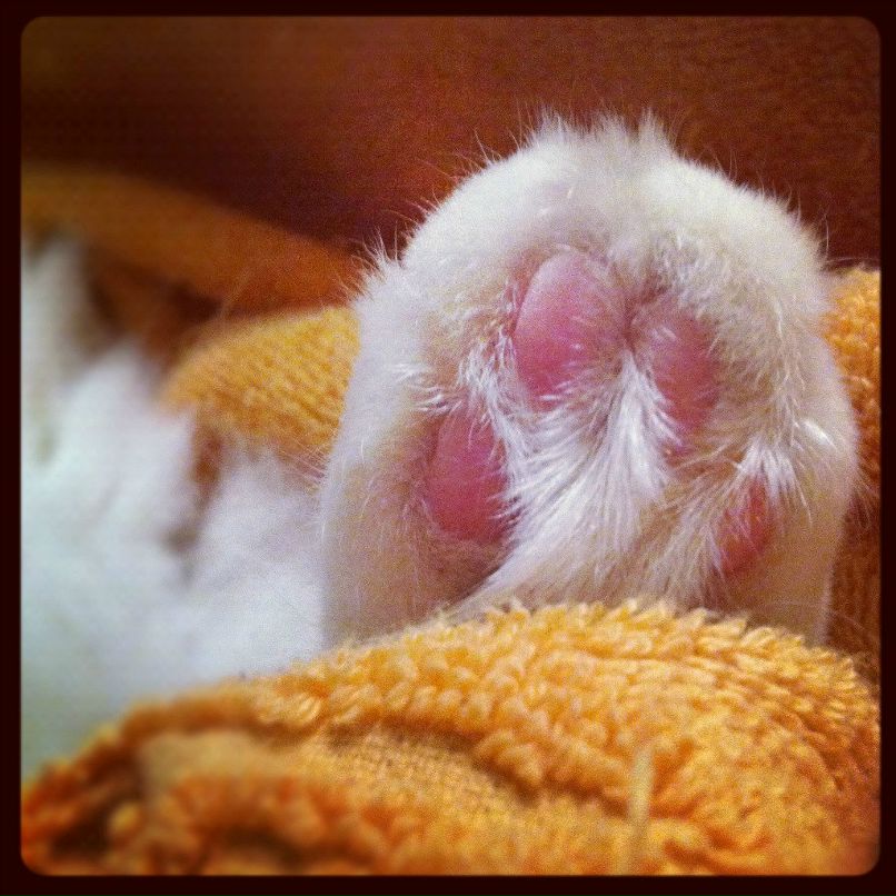 Анастасия Пискунова | Москва