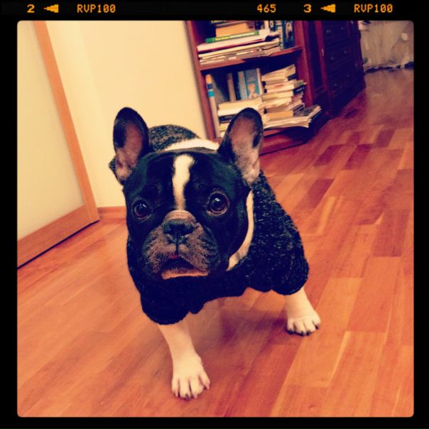 №90, Никита Анисимов, Москва №90, Никита Анисимов, Москва