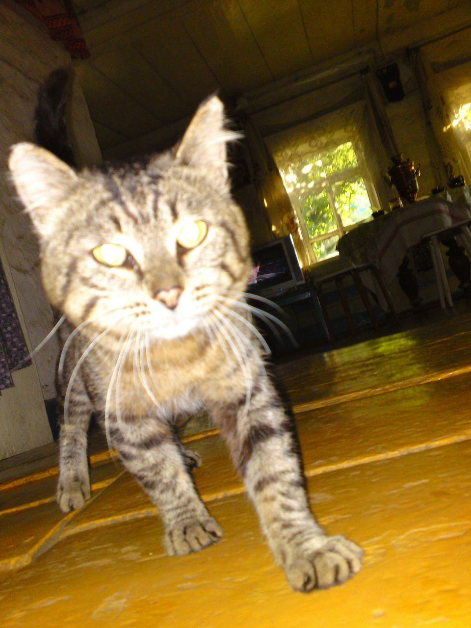 Азамат Кутлугильдин | Уфа