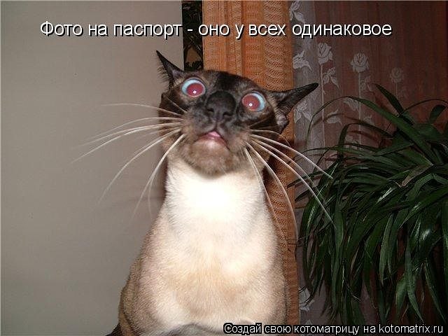 Елена Шпилька | Praha