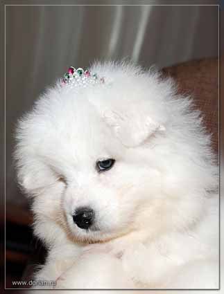 Карина Федотова | Чебоксары