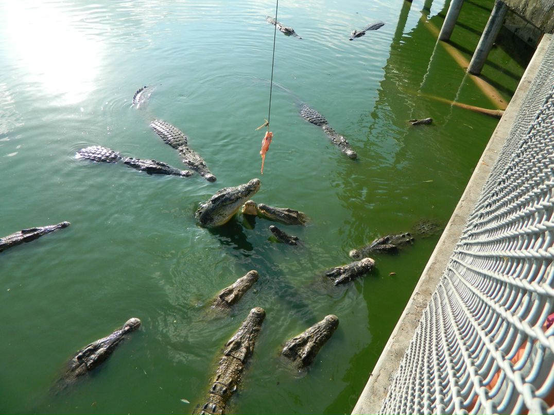 Елена Гисем | Калининград