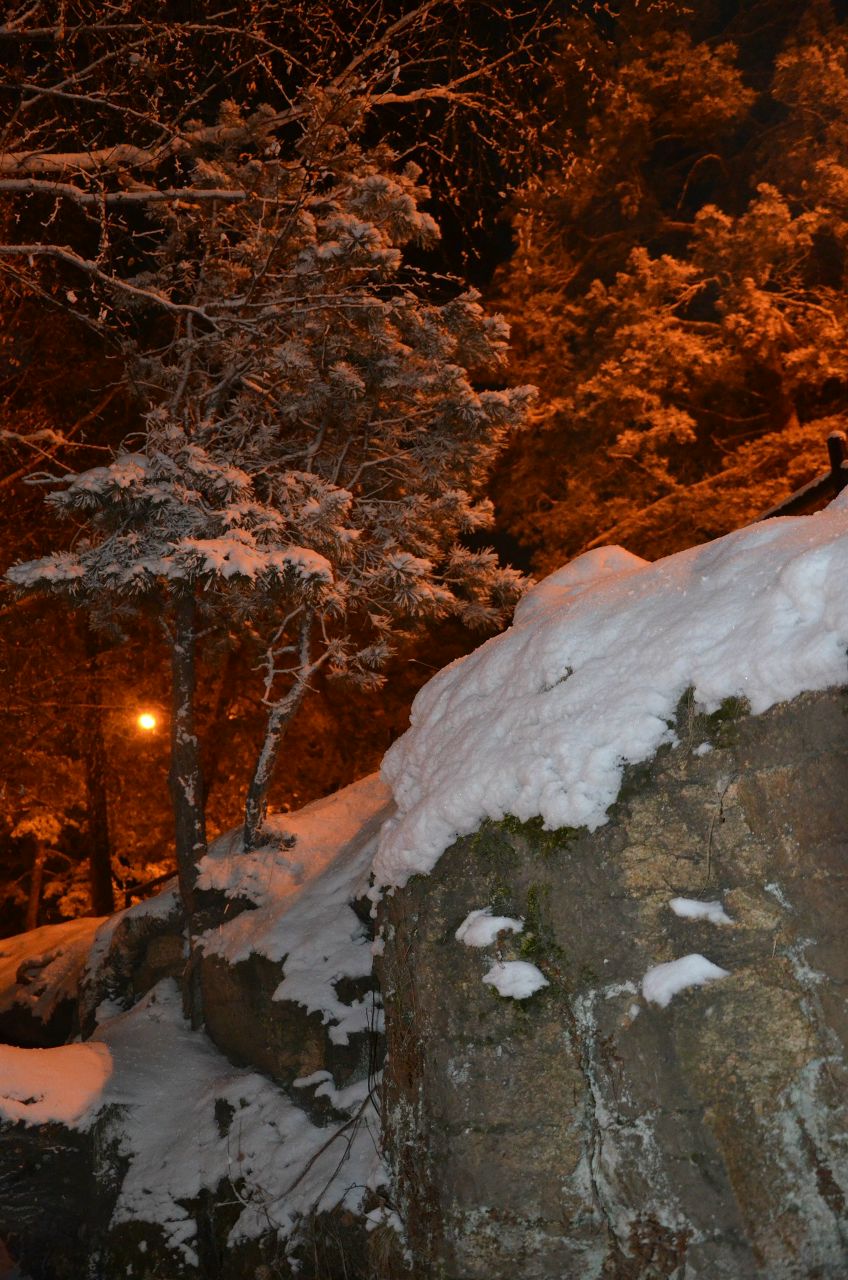 Александра Аввакумова | Челябинск