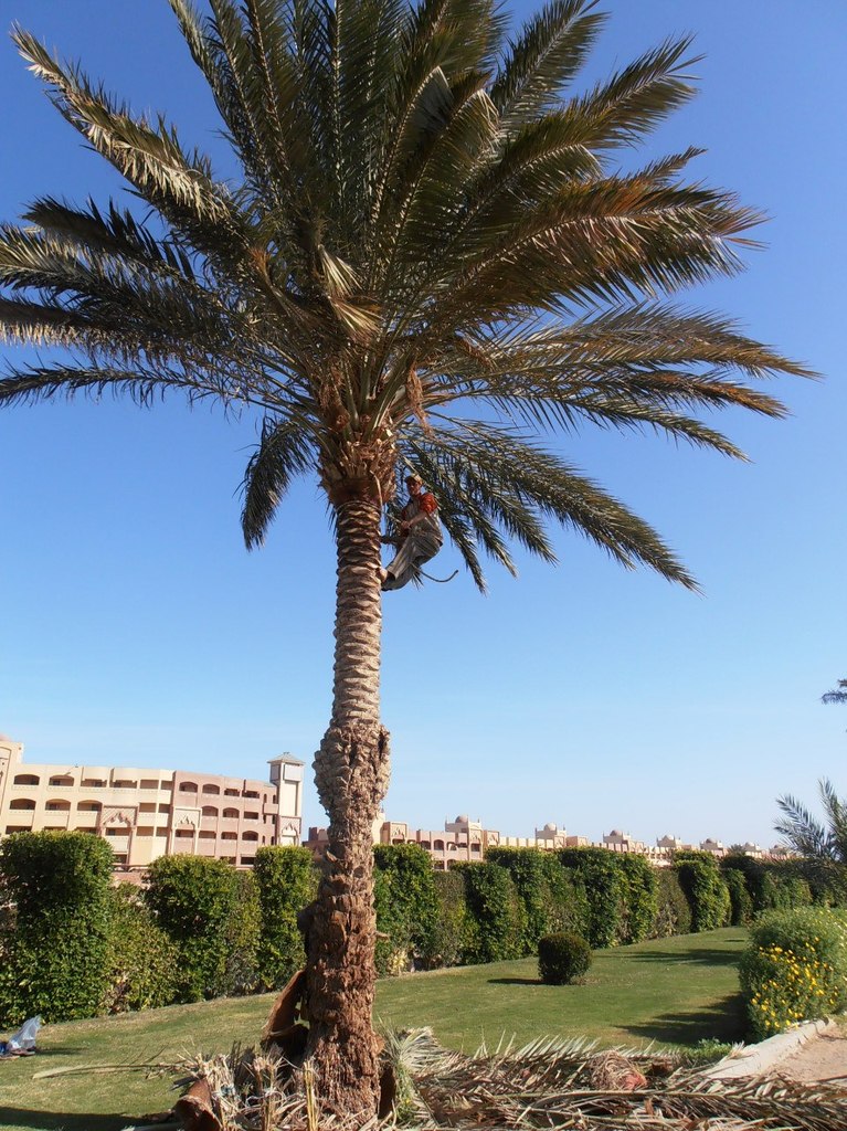 Надежда Кошелева | Санкт-Петербург