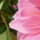 Анастасия Лытнева | Москва