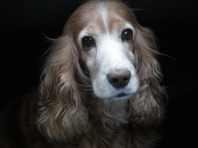 Мари Krasilnikova | Витебск