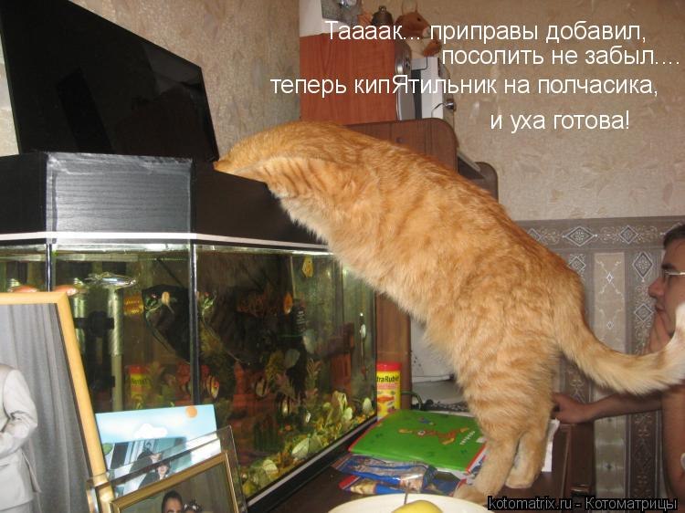 Стас Канюков | 