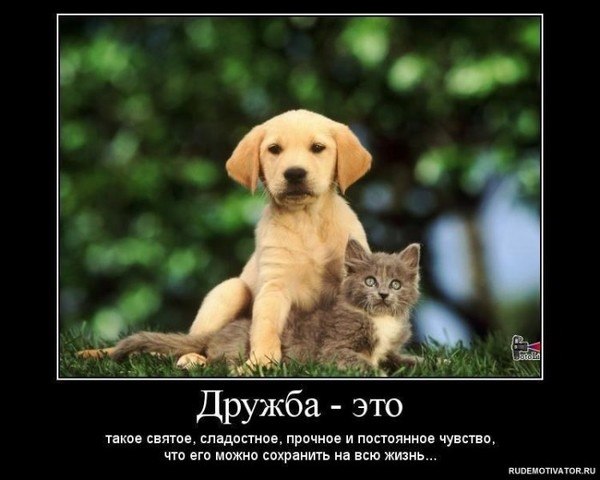 Анжела Лазуткина | Могилёв