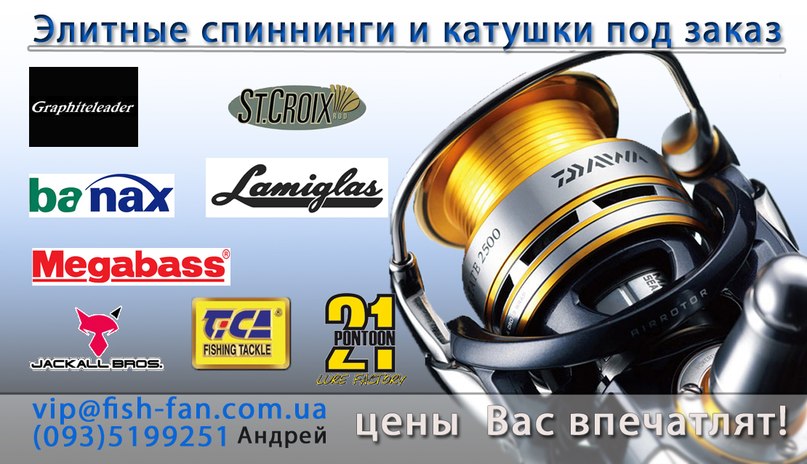 Андрей Долгопятов | Киев