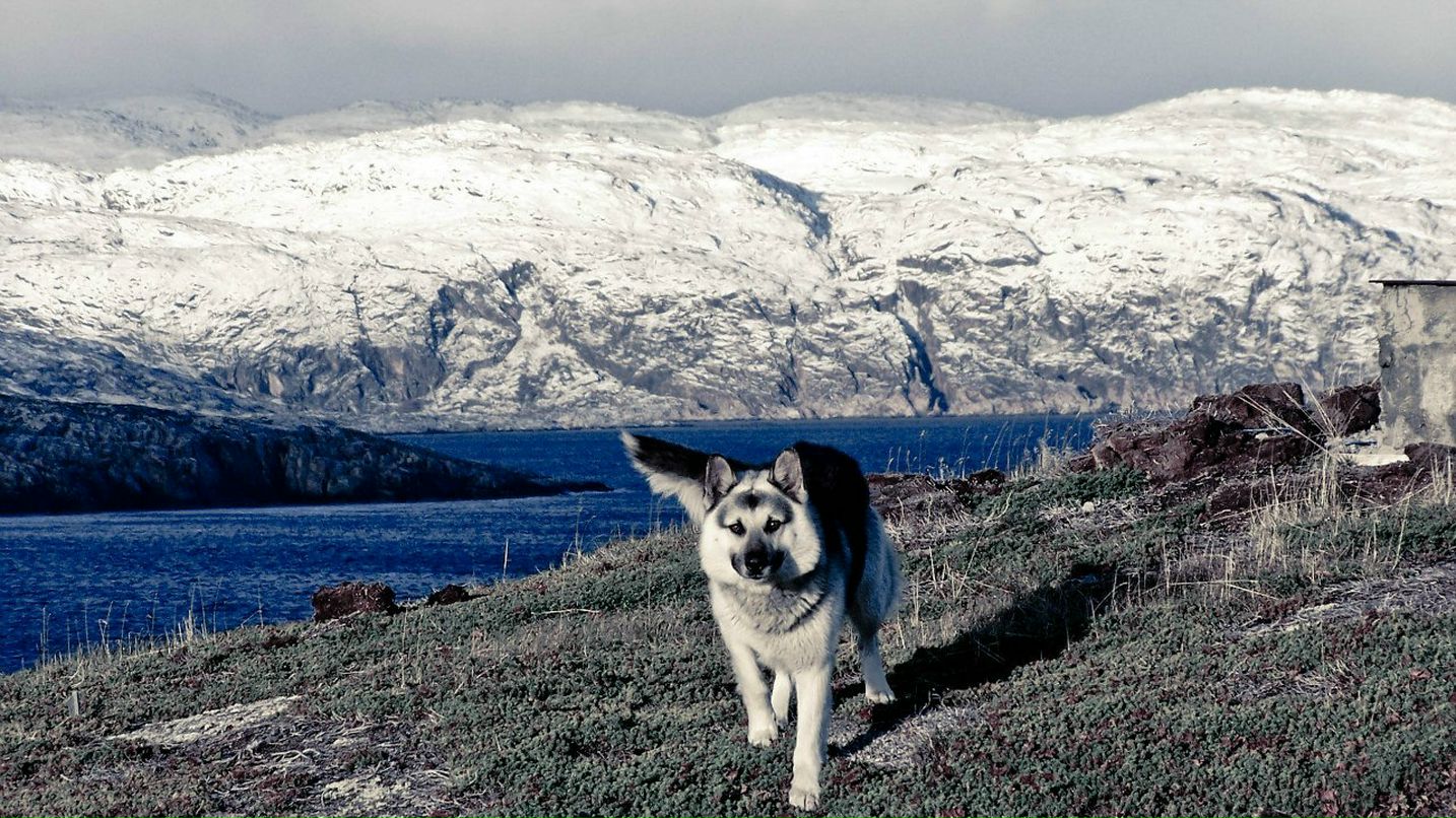 Ковал Сергеевич | Мурманск