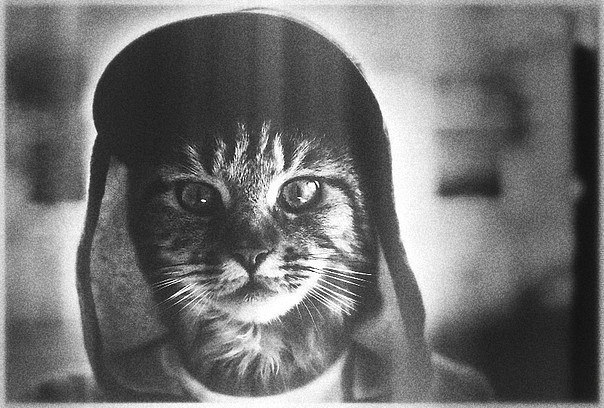 Ден Тютюнников A.C.A.B. | Москва