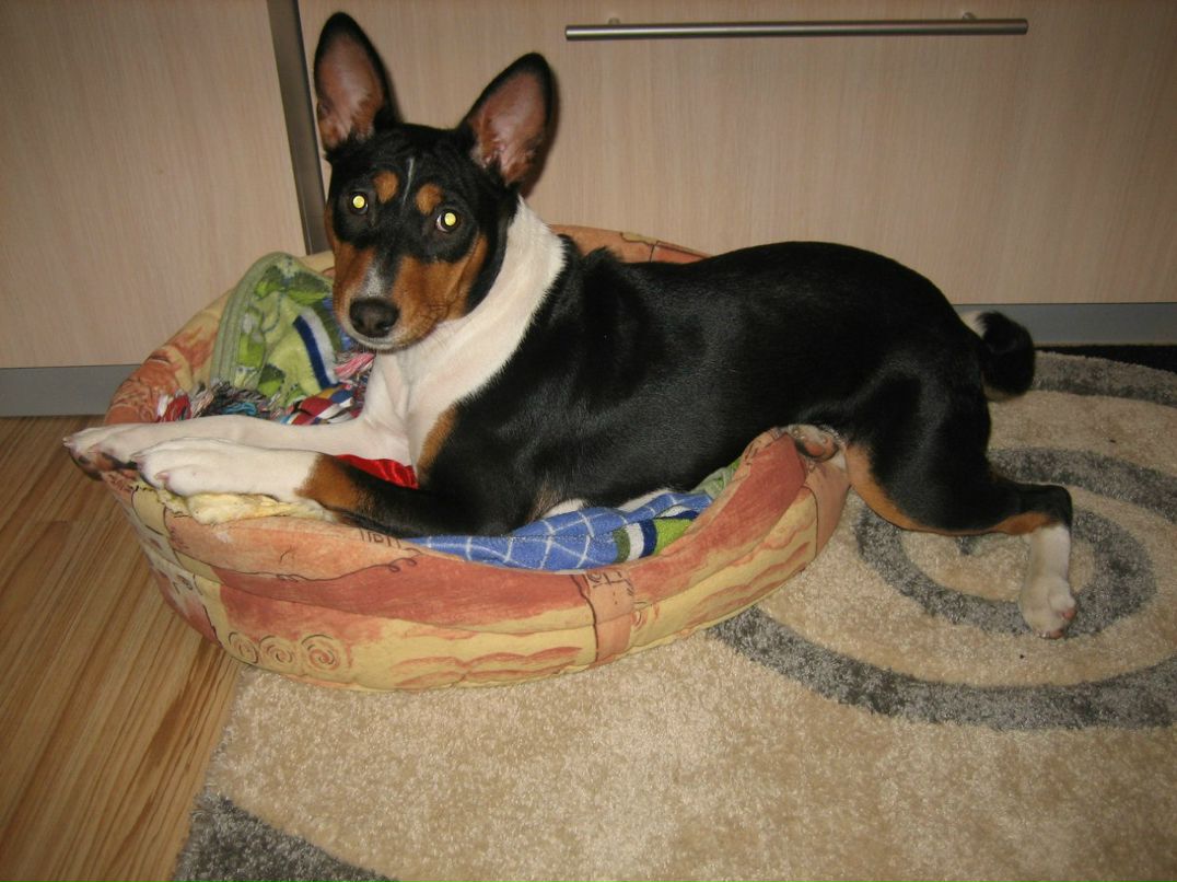 Ольга Яранцева | Санкт-Петербург