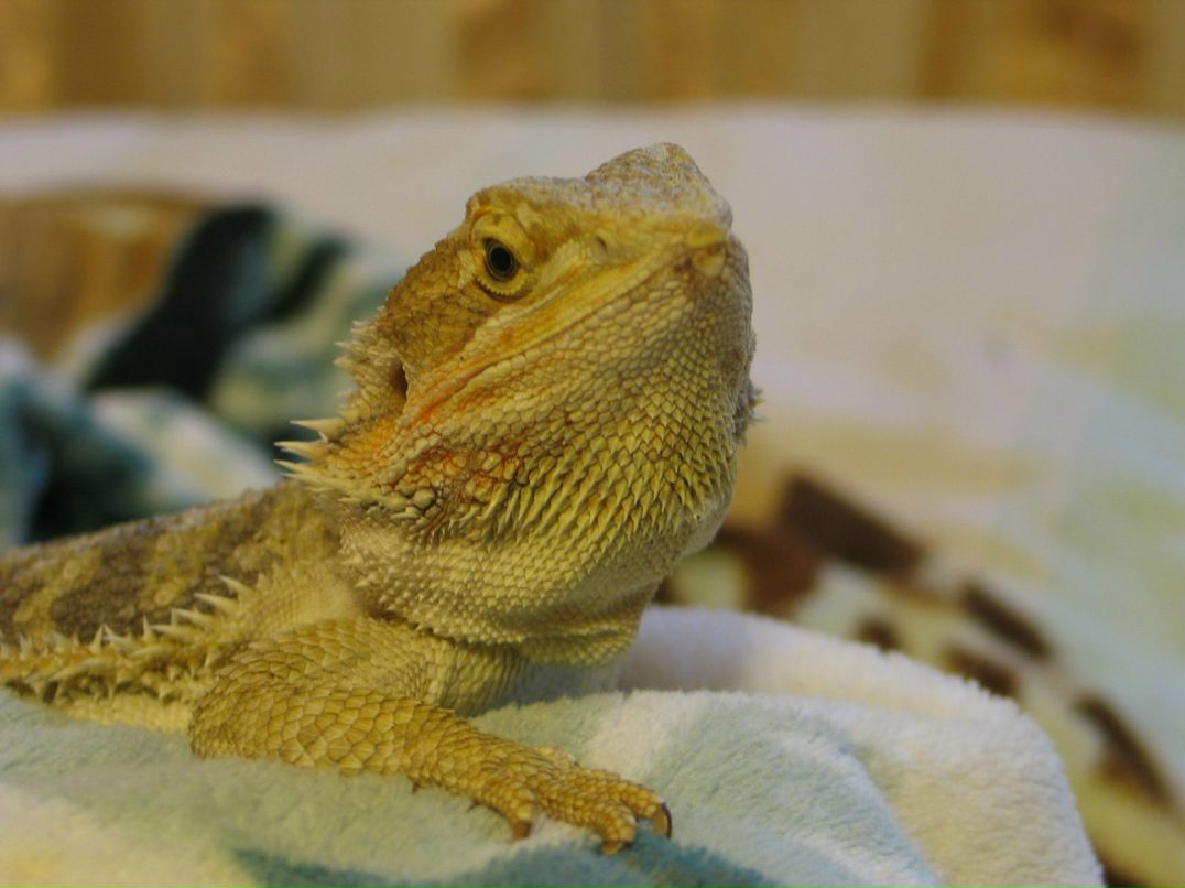 Ульяна Иванова | Москва