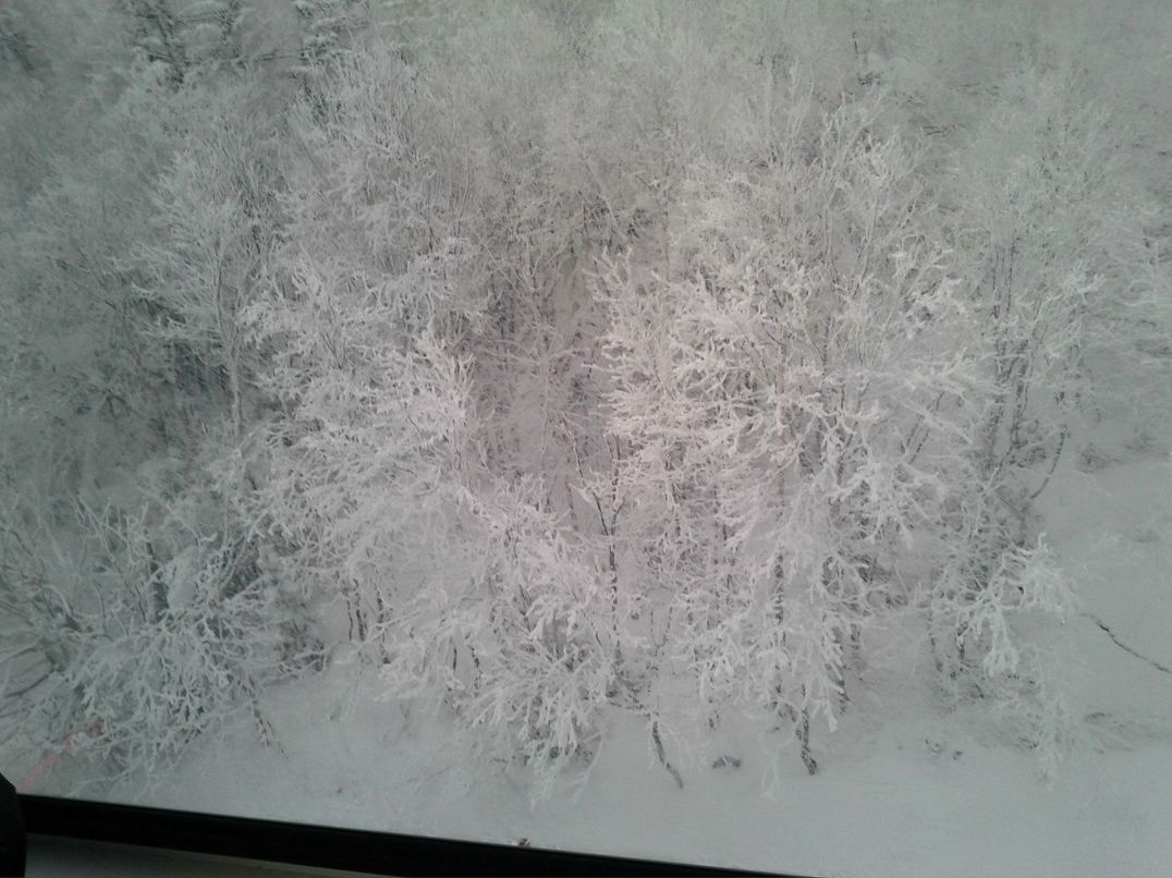 Марта Милевская | Toronto