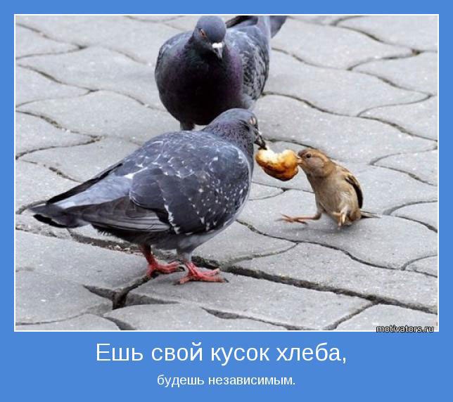 Александр Defender •Alexandrovich• | Новгород-Северский