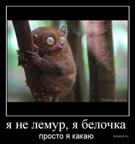 Глеб Жеглов CoR$aR | Мариуполь