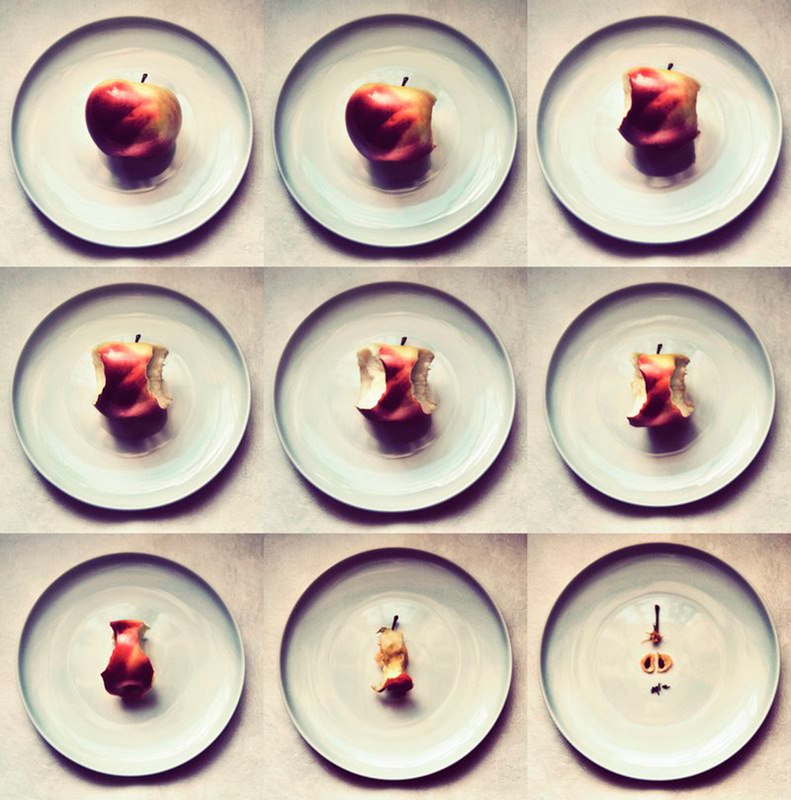 Катарина Ланская | 