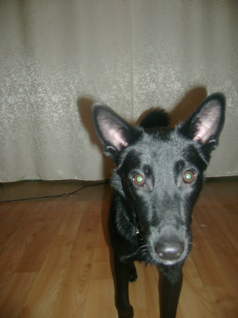 Полина Хромова | Ульяновск