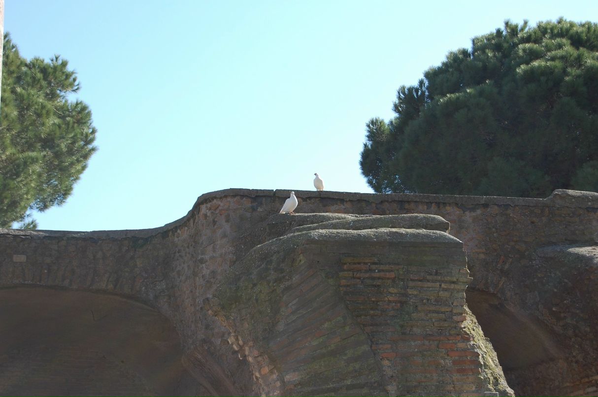 Ирина Щукина | Санкт-Петербург