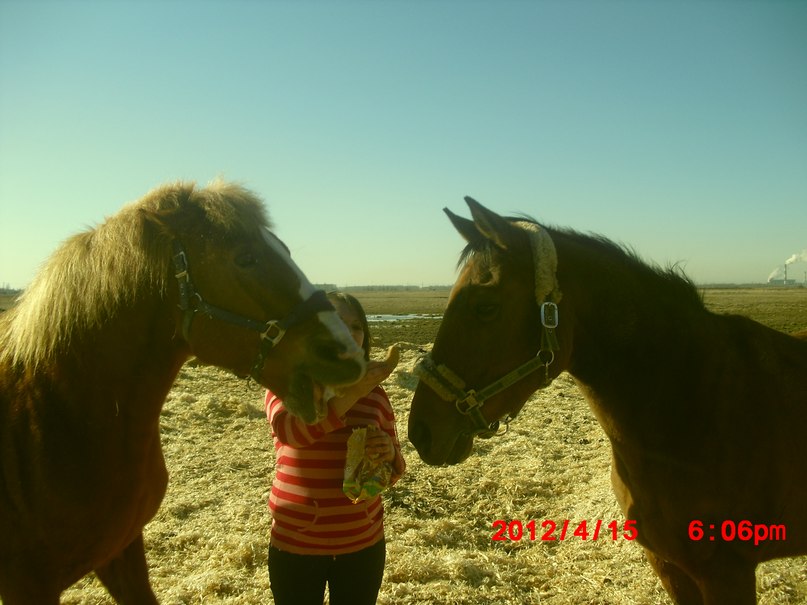 Майя Костусева | Санкт-Петербург