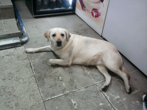 №7, Екатерина Казакова, 34 года, Магадан, Россия №7, Екатерина Казакова, 34 года, Магадан, Россия