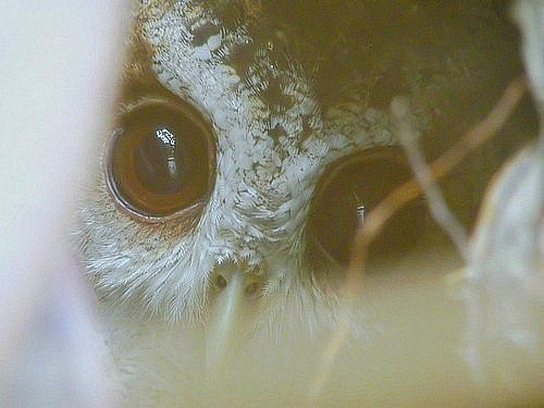 Алёна Кириллова | Санкт-Петербург