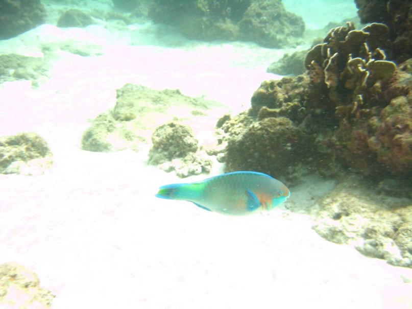 Alex Black ~*GoodTrip*~ | Москва