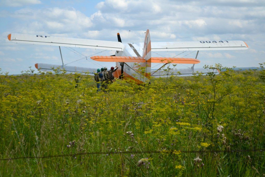 Павел Алюкаев | Новосибирск