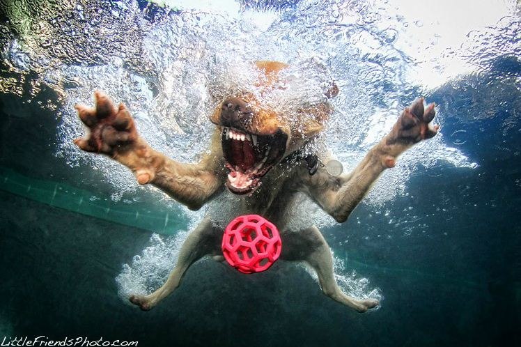 Сергей Галактионов | Санкт-Петербург