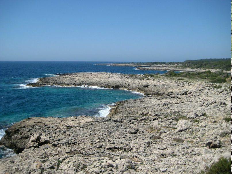 Федор Игнатов | Новосибирск