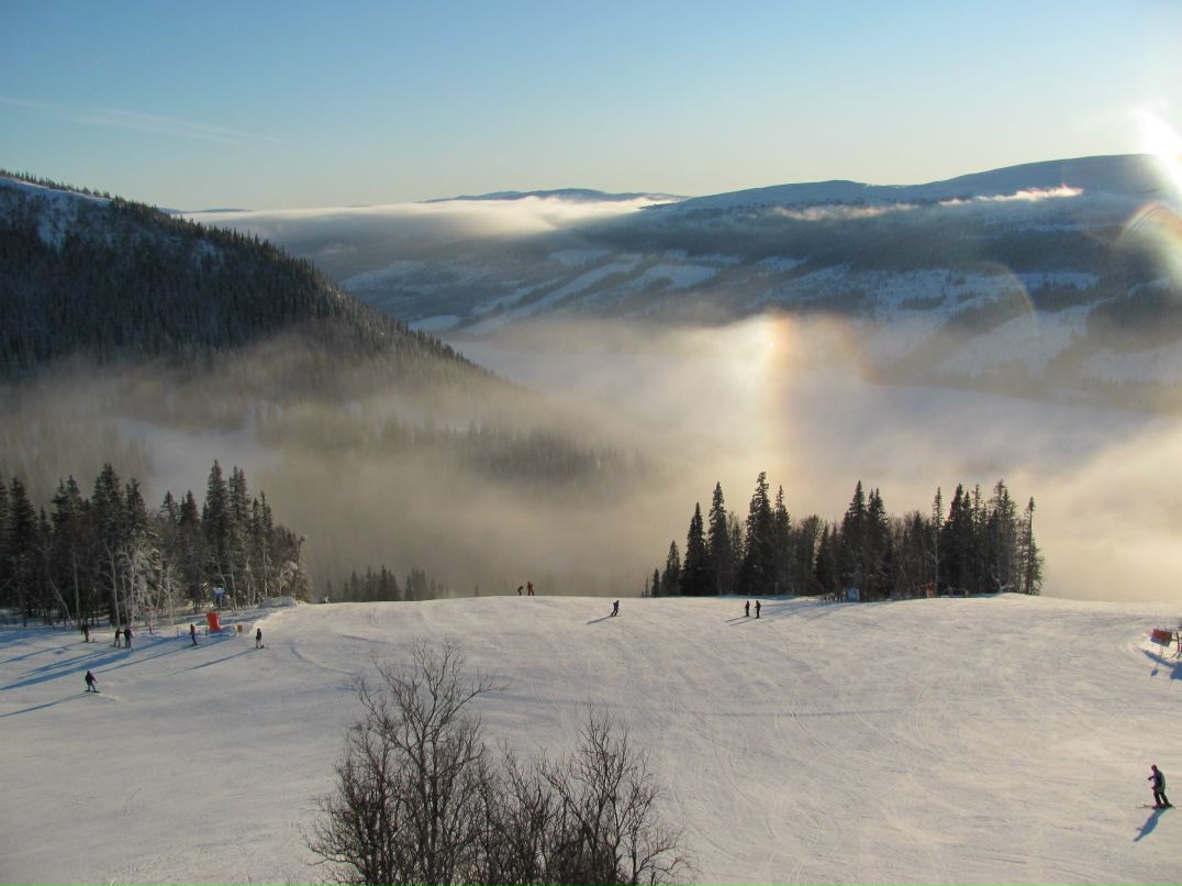 Александр Катютин | Санкт-Петербург