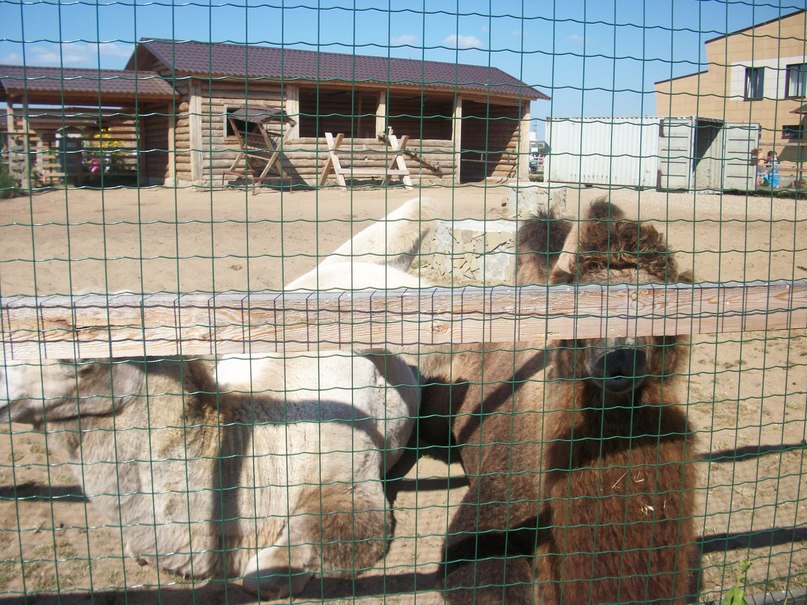 Вера Чистякова | Грязовец