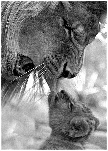 Artem Lebedev | Витебск