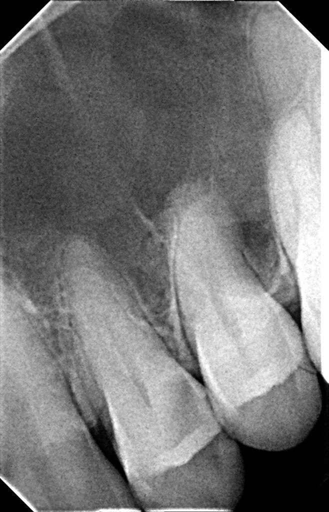 Алексей Семенов | Санкт-Петербург