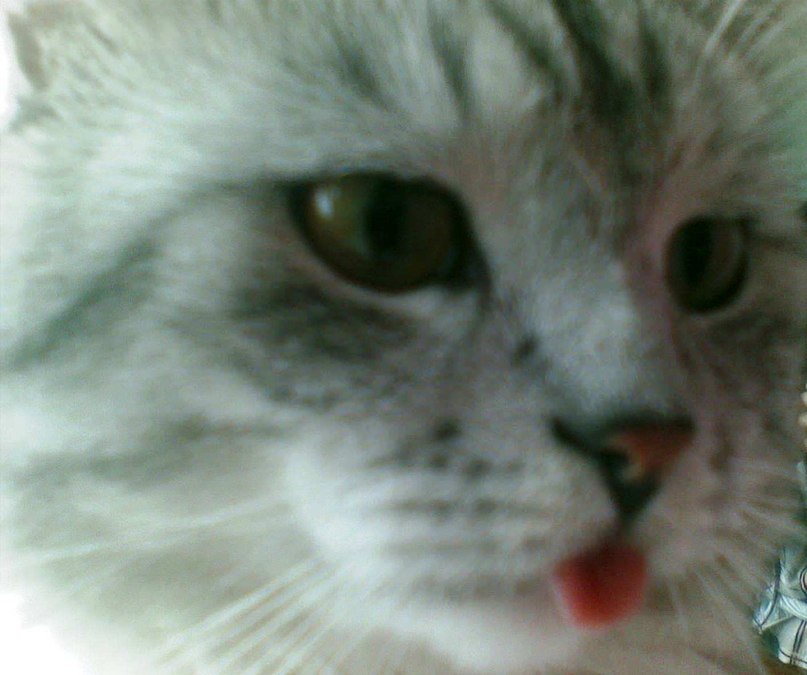 Олеся Ерофеева | Москва