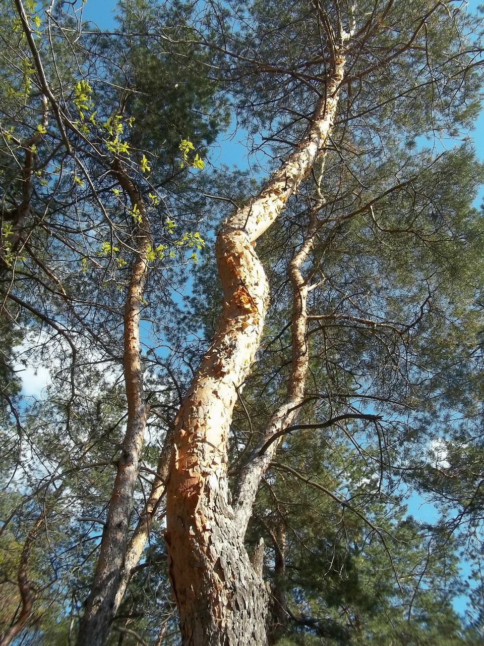 Михаил Втюрин | Саратов